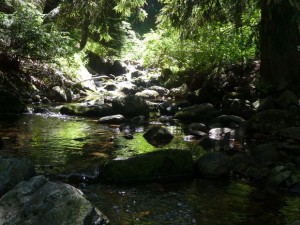 vitosha1